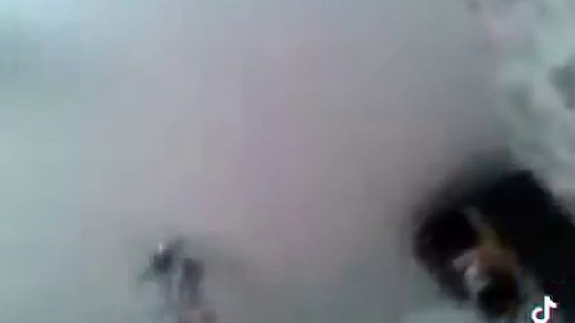 Птичка залетела в квартиру 😂😂😂 смотреть онлайн