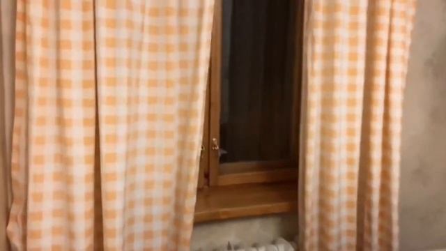 Аренда 2к квартиры на Павловом Поле смотреть онлайн