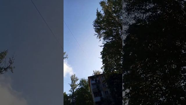 г.РОСТОВ - НА - ДОНУ , ЗАПАДНЫЙ , ПРОГУЛКА , ул . СОДРУЖЕСТВА . 27.05.23 г. смотреть онлайн