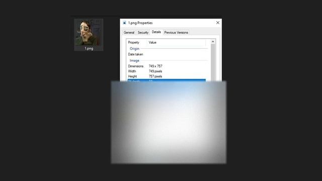 How To Have Custom Posters/paintings/other In Voices Of The Void [OUTDATED :]