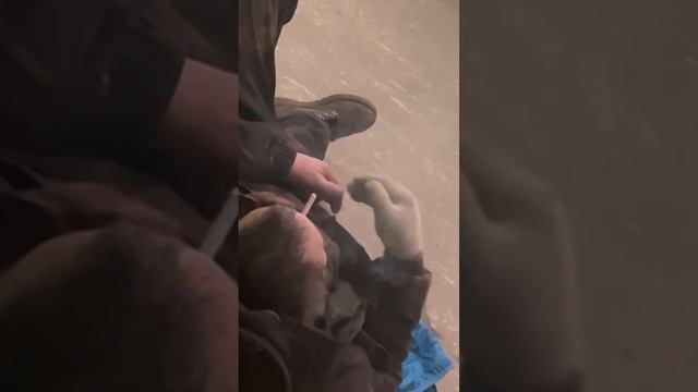 Бомж уснул в подъезде, прикол с алкашом смотреть онлайн