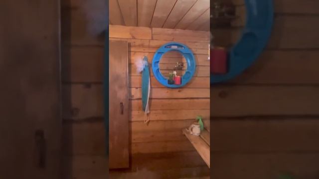 Дачный участок СНТ Проектировщик. Дача, баня, 4 сот. #недвижимость #дача смотреть онлайн