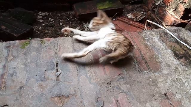 Мама и брат задумали продать квартиру и половину забрать себе предупредила сестра смотреть онлайн