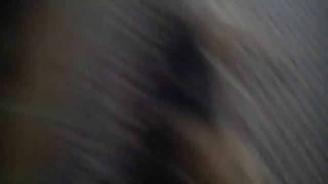 Снимаю мою квартиру ч.1 смотреть онлайн