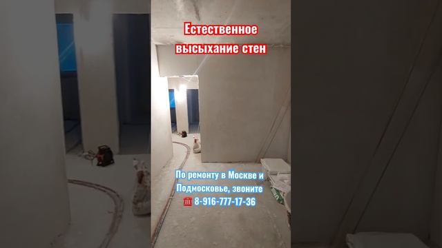 Как просыхают стены после штукатурки ❓Ремонт в Москве #делаемремонтвподмосковье #дизайнквартиры смотреть онлайн