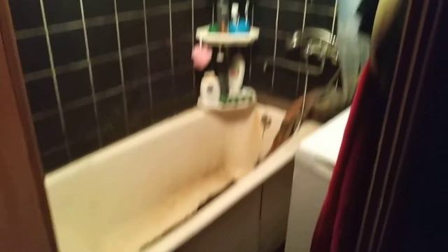 Моя квартира смотреть онлайн