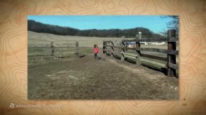 Они Живы! 10 Динозавров Снятых На Камеру