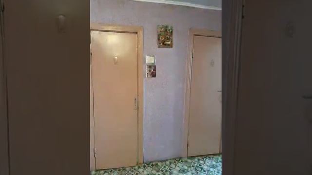 277 смотреть онлайн