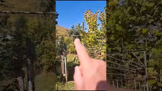 ИЖС 6 соток, пос. Солнечная Поляна смотреть онлайн