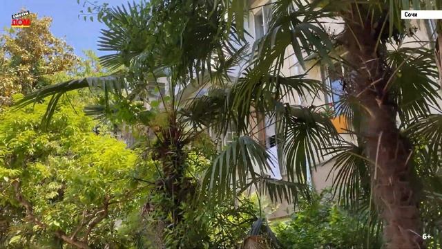 СМОТРИДОМ.РФ_____  Сочи, улица Чебрикова, дом 8, Центральный район, микрорайон Ареда.