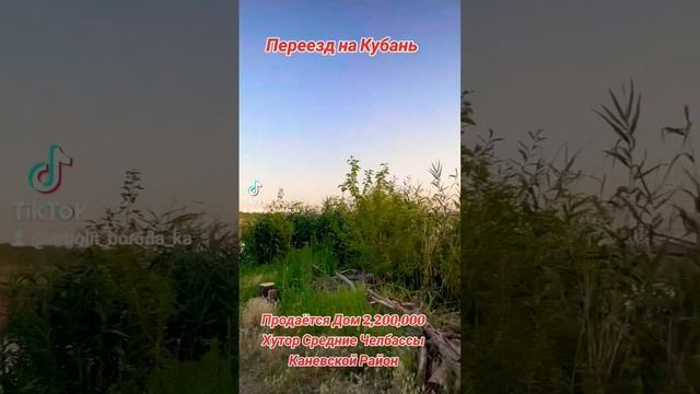 АГЕНТСТВО НЕДВИЖИМОСТИ " Дом Кубани " ст Каневская, ул. Таманская, 124 смотреть онлайн
