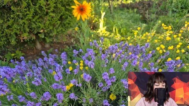 - Ты никчёмная жена - Наташа оторопела от слов любовницы. Но у неё уже был готов план мести... смотреть онлайн