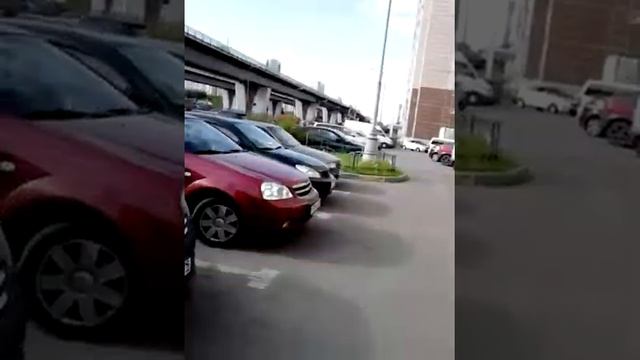 г. Москва, Некрасовка, Проспект Защитников Москвы д. 3. "Синицы умираю на глазах!" 2 сентября 2017г смотреть онлайн