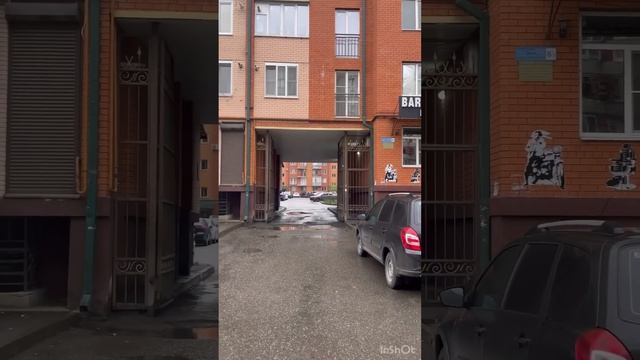 Не туристический контент 🦊 в городе - Кырджалийская #осетия #город #владикавказ #весна #цветы смотреть онлайн