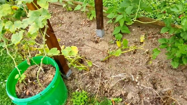 Что нас ждёт после отдыха?! День рождения продолжается... смотреть онлайн