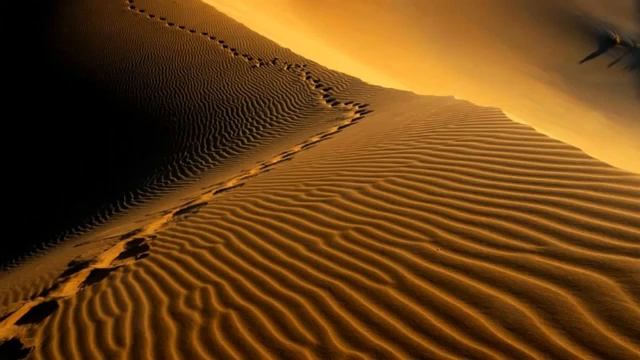 Сильная проповедь про двух братьев смотреть онлайн