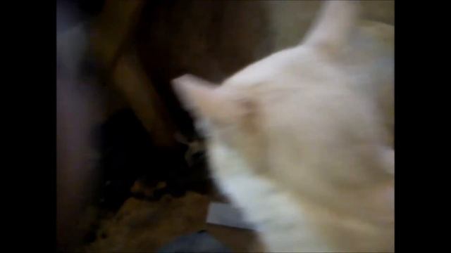 так строятся мосты на северном обходе г.калуги