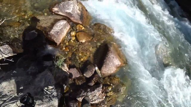 форель на проводку в узбекистане смотреть онлайн