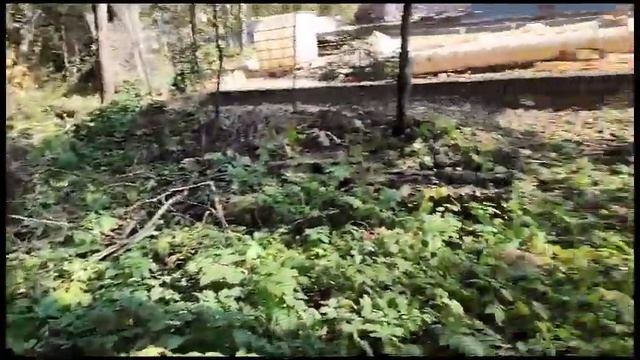 27 сентября 2023 г.