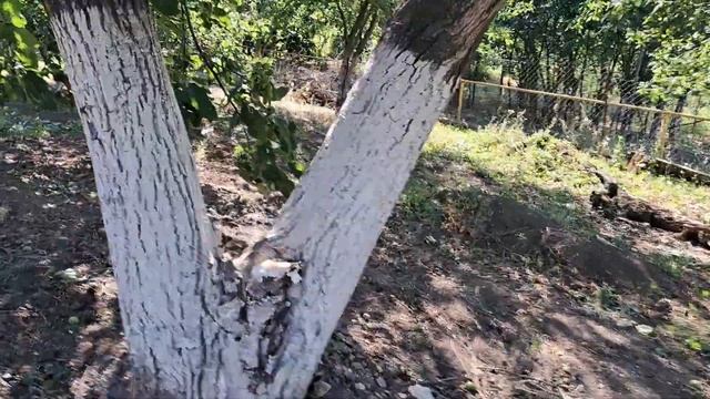 Николаевка Ленина 21 смотреть онлайн