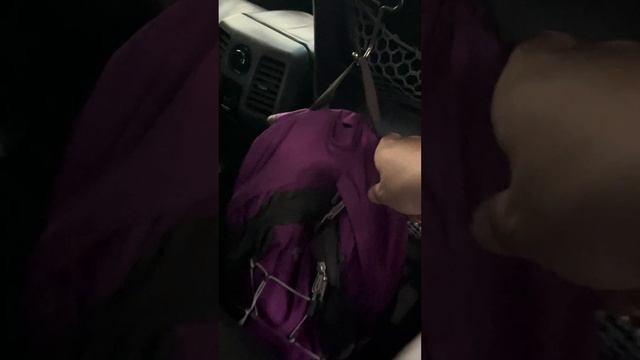 (Honest Review) Car Seat Headrest Hooks