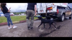 Санкт-Петербург - Магадан.  Экспедиция "59-я широта" день-3 в дороге.