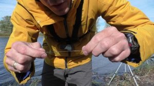 Ловля карася и леща на донки. Поймал щуку на червя!