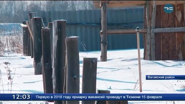 Дому быть! смотреть онлайн