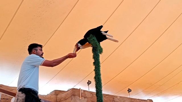 Dubai Safari Park Tour 2023|Dubai Safari Park Full Trip with Adventures смотреть онлайн