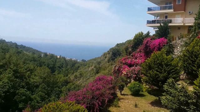 купить виллу в турции недорого - arbathomes.ru смотреть онлайн