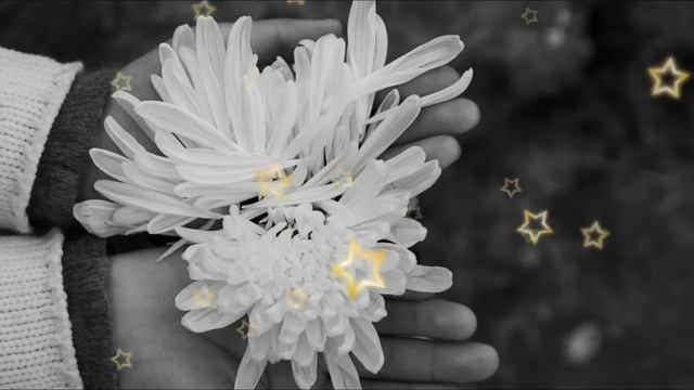 СЫН, ТЫ ОБЯЗАН ОТДАТЬ ОДНУ ИЗ ВАШИХ КВАРТИР ТВОЕЙ СЕСТРЕ... смотреть онлайн