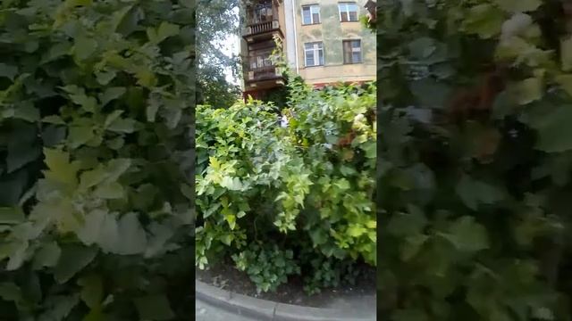 Жилой комплекс "MILK House" смотреть онлайн