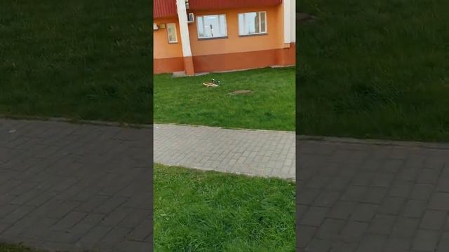 В центре Гомеля с многоэтажки сорвалась спутниковая антенна смотреть онлайн