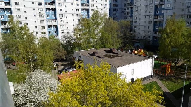 Зябликово 09.05.2022. смотреть онлайн