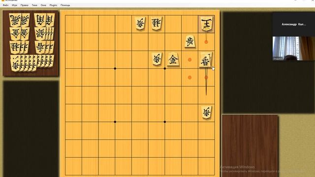 Дистанционные занятия