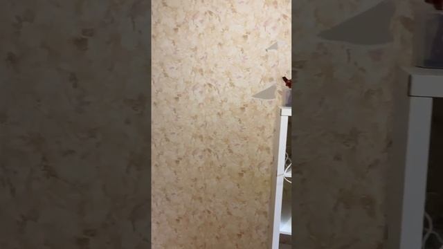 Ипотека Одобрение алыш кыйын болду бирок Ошого карабастан К Одобрение алыр уйлуу кылдык смотреть онлайн