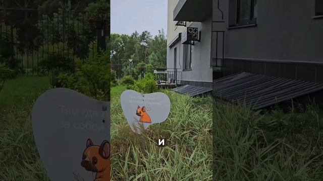 🎥 МЫС. Обзор одного из самых зелёных районов Тюмени. Новостройки без комиссии. смотреть онлайн