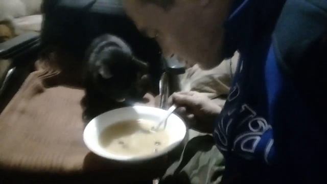 мой котяра охреневшаяскотина смотреть онлайн