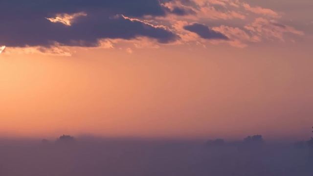 Все смеялись над парнем в школе и тыкали в него пальцами. Спустя время он утер одноклассникам нос… смотреть онлайн