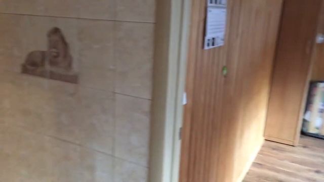 Квартира в аренду смотреть онлайн