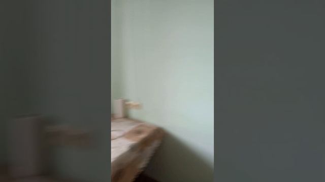квартира на заводском шоссе 71 в смотреть онлайн