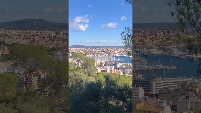 Castell de Bellver смотреть онлайн