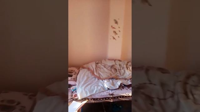 Место, где я живу https://youtube.com/shorts/eHmsIeDXnM8 смотреть онлайн