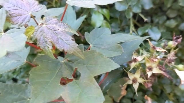 Продавщица овощей получила от незнакомца странную записку. Это навсегда изменило ее жизнь. смотреть онлайн