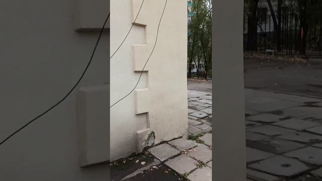 Постройка нового здания.