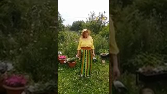 Унжакова Агнесса Степановна п.Кичера смотреть онлайн