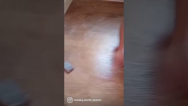 24 ноября 2022 г. смотреть онлайн