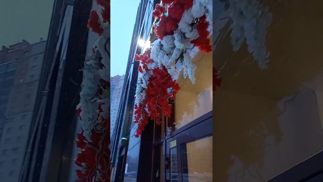 По улицам Петербурга #санктпетербург #питер #спб #travel #еленажемчугова смотреть онлайн