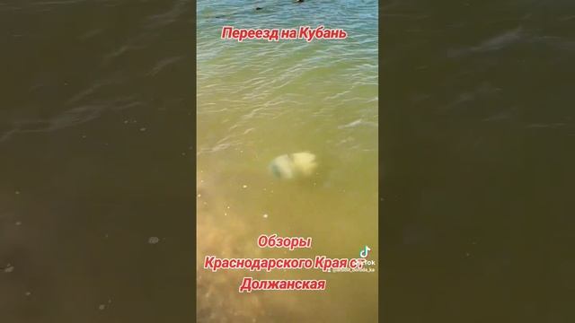 Агентство Недвижимости Краснодар #арболит #домизарболита смотреть онлайн