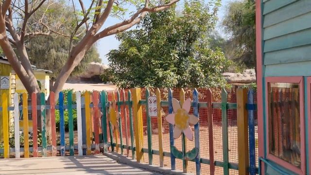 Dubai Safari Park: What's Inside Kid's Farm? Let's Take A Look!